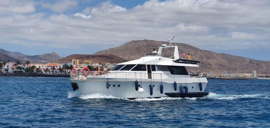 Tenerife: Fun Yacht Trip with Water Activities and Toys - The swim stop near Los Cristianos