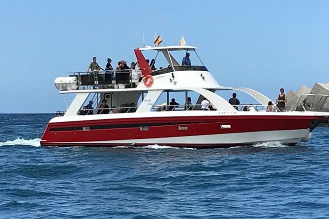 Tenerife Los Cristianos: Whale and Dolphin Eco-Yacht and Swim Stop - Choosing the best time and preparing well