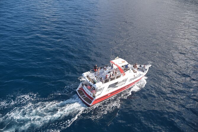 Tenerife Los Cristianos: Whale and Dolphin Eco-Yacht and Swim Stop - Who will enjoy this boat trip most