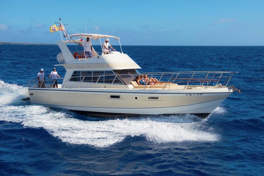 Tenerife: Whale tour and sea swim on a yacht for 22 people - Why Tenerife’s west coast attracts whales
