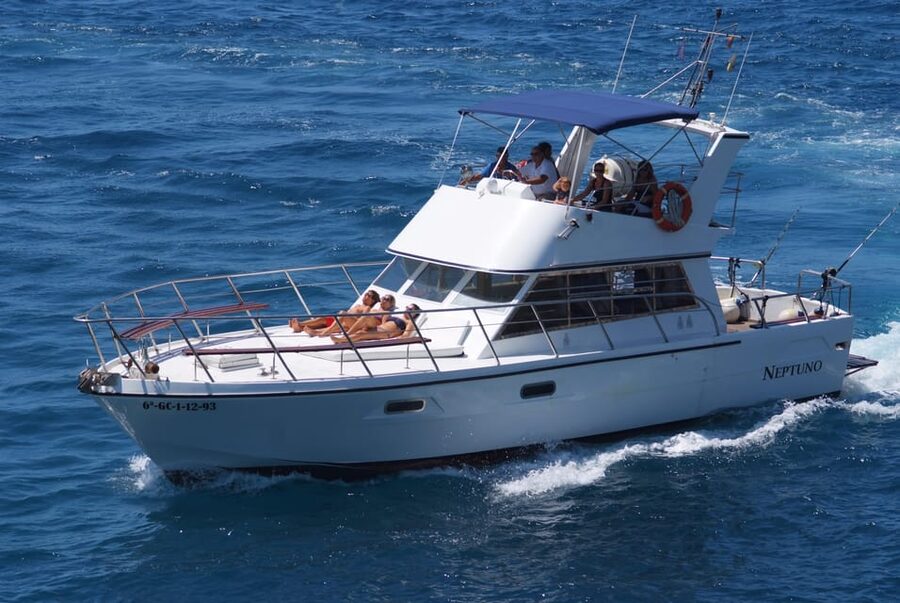 Tenerife: Whale tour and sea swim on a yacht for 22 people - Cruising past the Los Cristianos cliffs