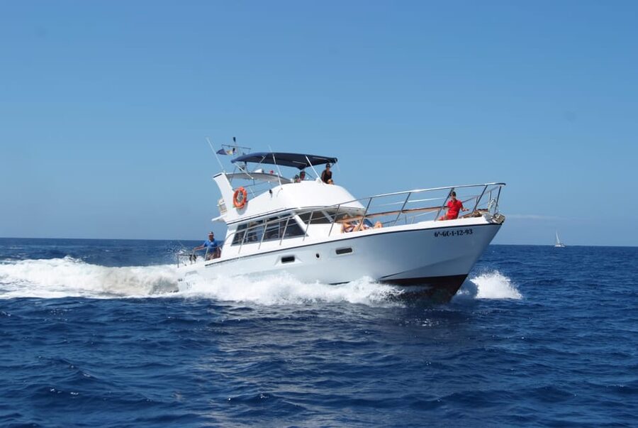 Tenerife: Whale tour and sea swim on a yacht for 22 people - What the $47 price really includes