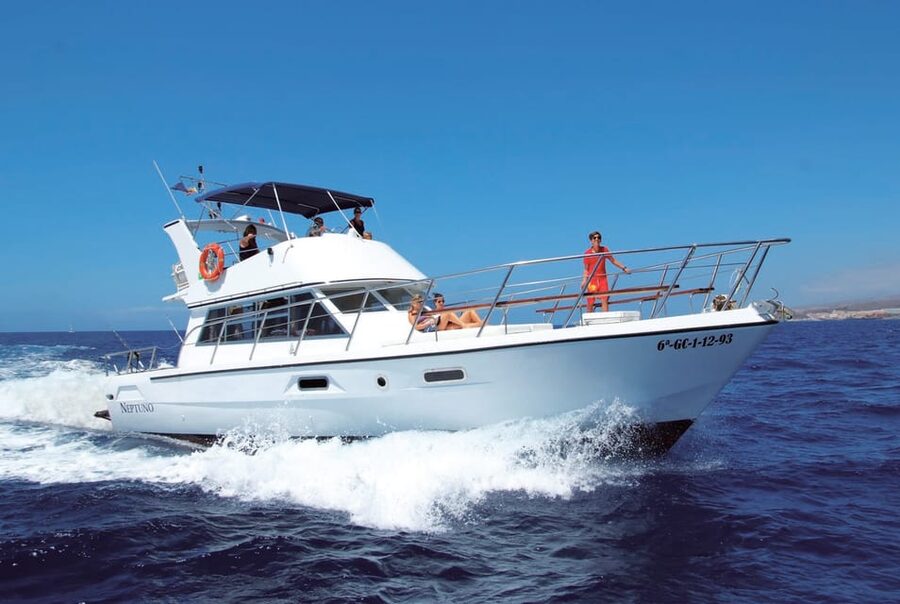 Tenerife: Whale tour and sea swim on a yacht for 22 people - Who will enjoy this boat trip most