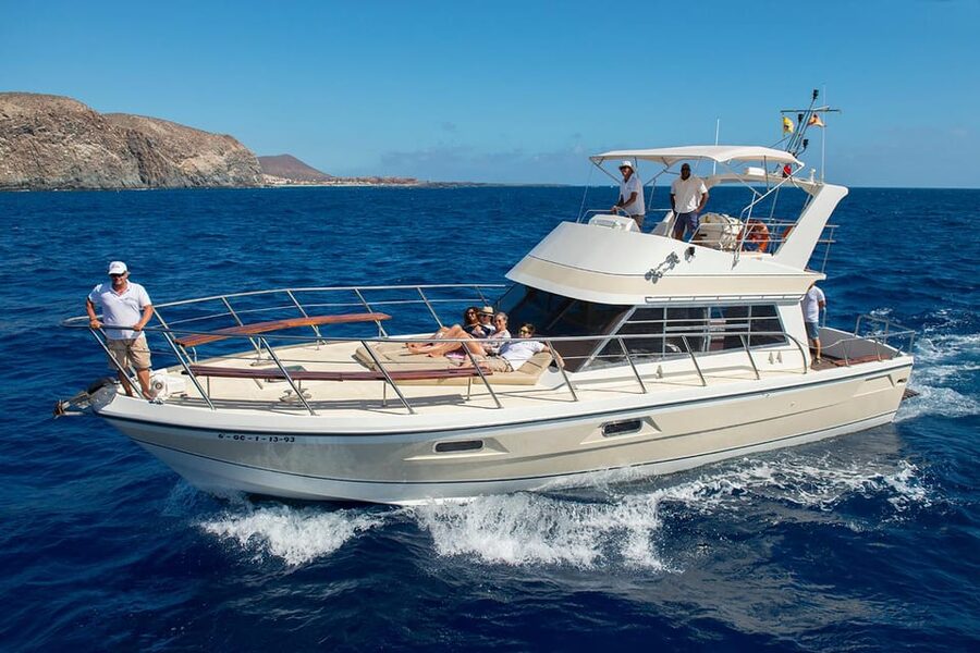 Tenerife: Whale tour and sea swim on a yacht for 22 people - Watching whales and dolphins from a smaller boat