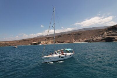 Tenerife Whale Watching and Snorkeling Yacht Trip