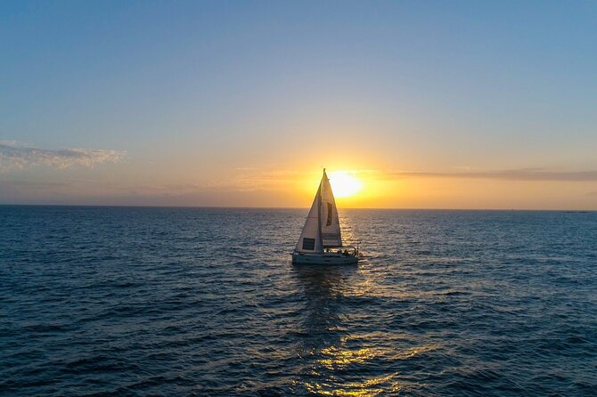 Tenerife Whale Watching and Snorkeling Yacht Trip - Is $62.68 good value?