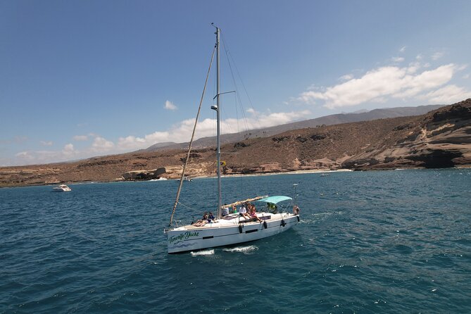 Tenerife Whale Watching and Snorkeling Yacht Trip - Three hours between Tenerife and the Atlantic