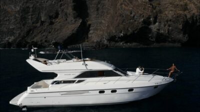 Whales and Snorkeling Tour on a Luxury Yacht