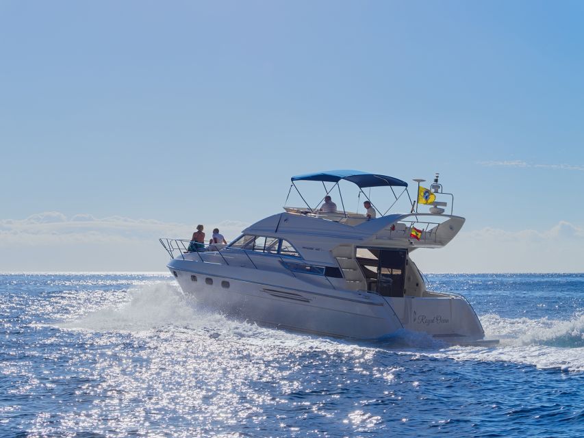 Tenerife: Whales and Snorkeling Tour on a Luxury Yacht - Who should book this experience?