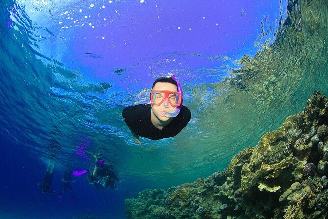 Tiran Island Snorkeling Experience by Yacht Sharm El Sheikh - Second snorkeling stop: keep expectations realistic