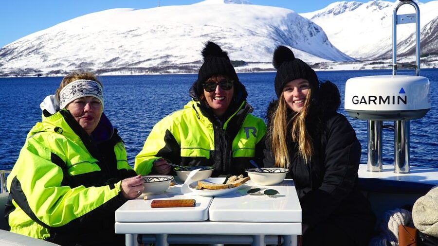 Tromsø: Fjord Cruise by Luxury Yacht - Key points at a glance