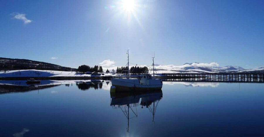 Tromsø: Fjord Cruise by Luxury Yacht - Fishing, steering, and the family appeal