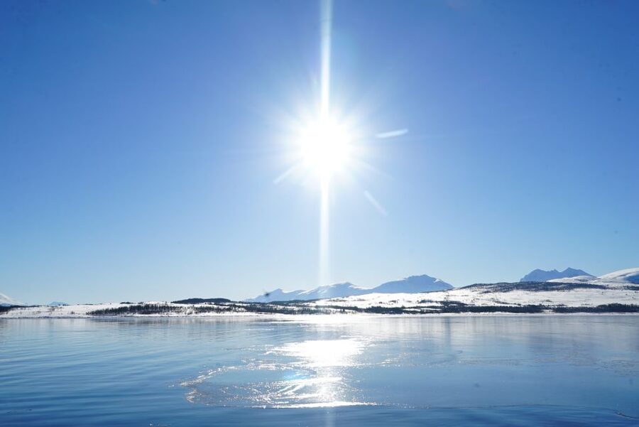 Tromsø: Fjord Cruise by Luxury Yacht - Is a $236 price fair?