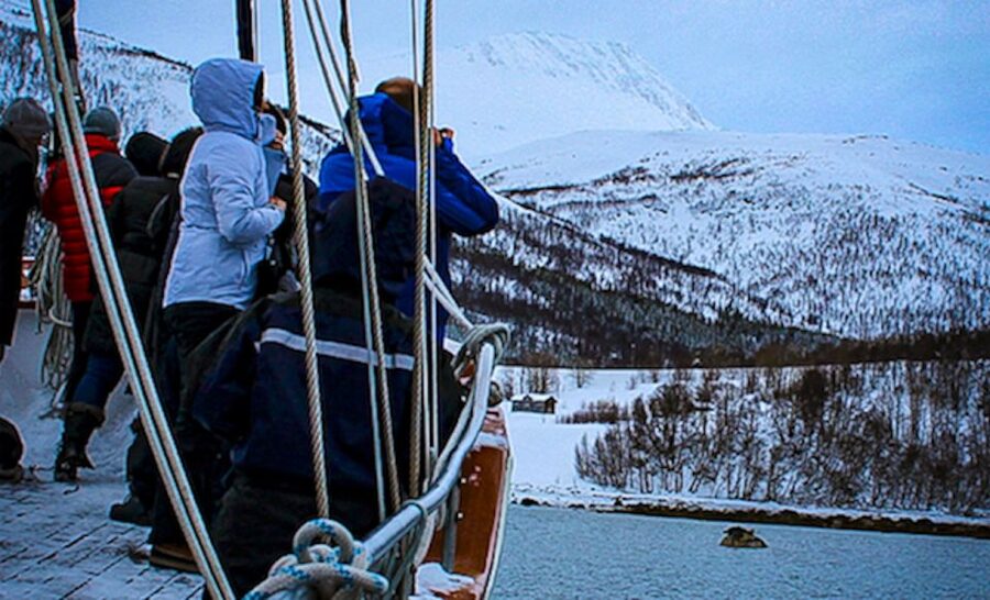 Tromsø: Luxury Polar Fjord Cruise w/ Hot Tub & Polar Plunge - Is $281 Per Person Good Value?