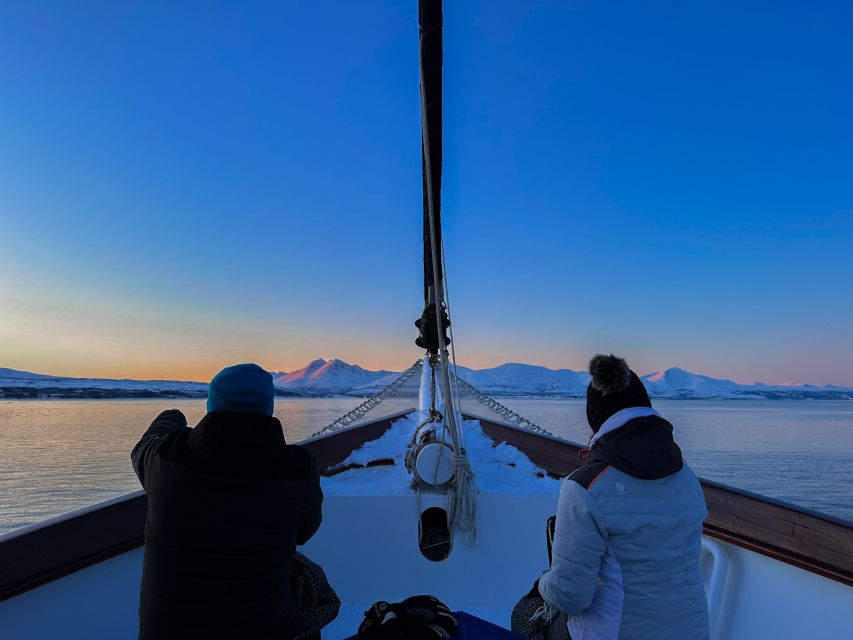 Tromsø: Luxury Polar Fjord Cruise w/ Hot Tub & Polar Plunge - Sailing Through Balsfjorden