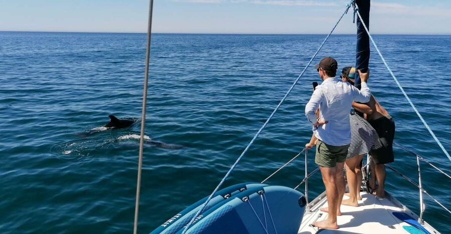Vilamoura: Coastal Cruise on a Luxury Sailing Yacht - Leaving Vilamoura Marina On A Sailing Yacht