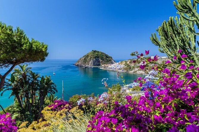 VIP Yacht Escape from Rome to Naples Island Gems Ischia & Procida - Why This Day Works Best as a Special Occasion