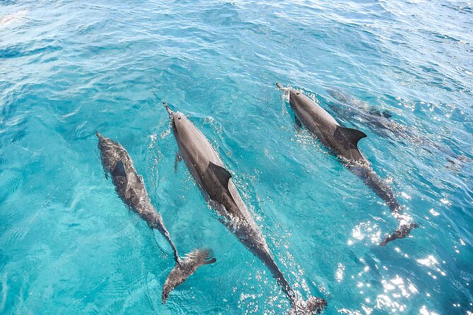 Waikiki's Premier Small Group Sunset Yacht + Tasting - Who should book this Waikiki sunset yacht?