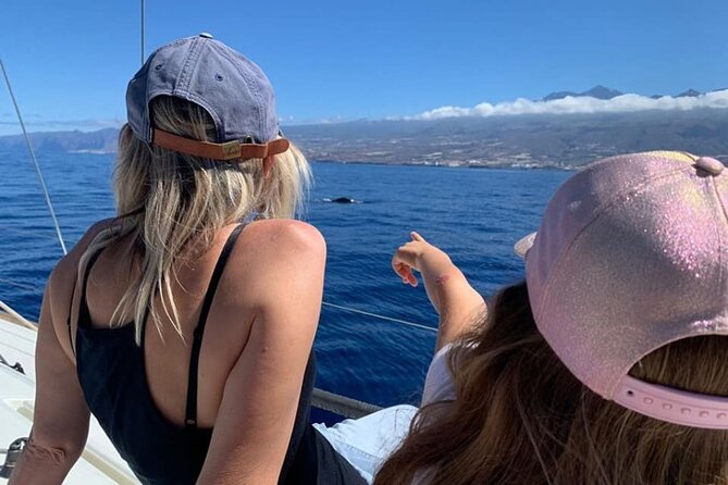Whale and Dolphin Watching Yacht Trip in Puerto Colon - What the three-hour schedule feels like
