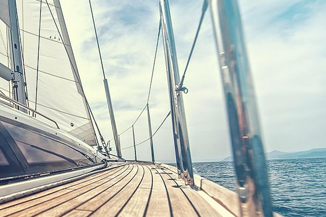 Whale and Dolphin Watching Yacht Trip in Puerto Colon - The value of the $62.56 price