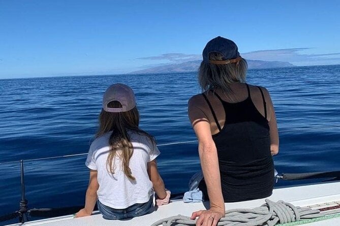 Whale and Dolphin Watching Yacht Trip in Puerto Colon - Weather, comfort, and who should book