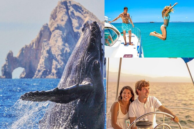 Whale Watching & Arch Catamaran Cruise in Cabo San Lucas - A comfortable trimaran with room to move