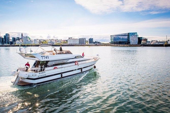 Whale Watching & Dolphin Yacht Cruise - Key points before you book