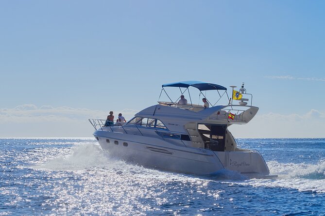 Whales and Dolphins excursion on a Luxury Yacht in Canary Islands - Key points at a glance