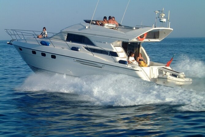 Whales and Dolphins excursion on a Luxury Yacht in Canary Islands - Sea conditions and the seasickness question