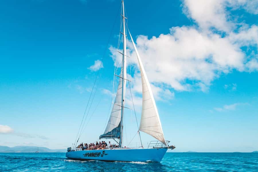 Whitsundays: 2-Day, 2-Night Maxi Yacht Sailing Adventure - The social side of sleeping aboard
