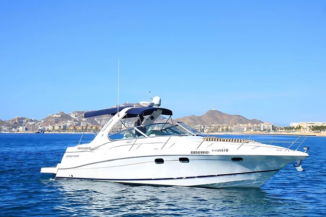 Your Own Private Yacht in Cabo – Snorkeling, Crew & Coastal Views - Pelican Rock and the snorkeling stop